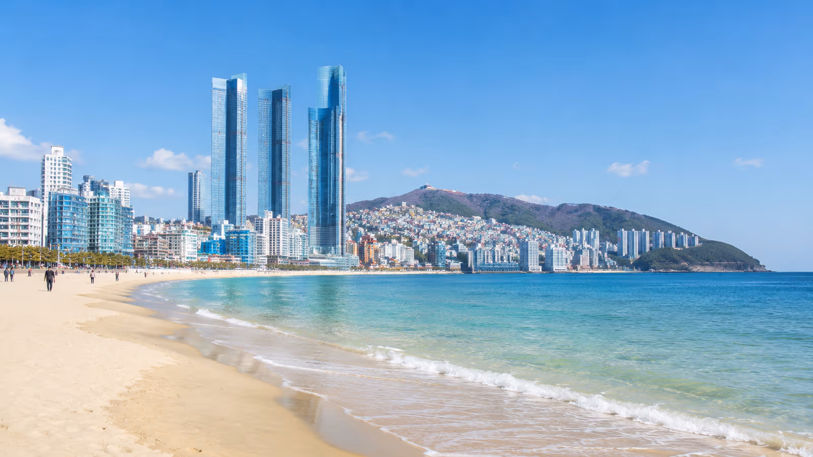 부산 해변과 도심 스카이라인이 함께 보이는 맑은 날의 해안 풍경